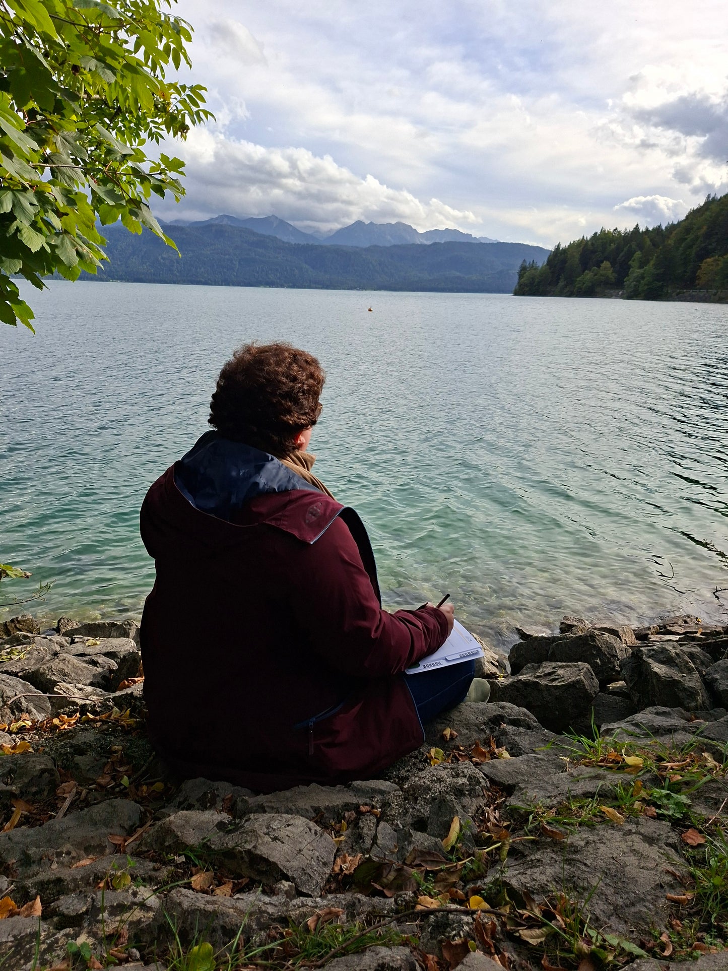 story2bee PlotBunny-Gehege - Ein Zuhause für deine Ideen (Notizbuch / Journal für Buch- oder Roman-Ideen)