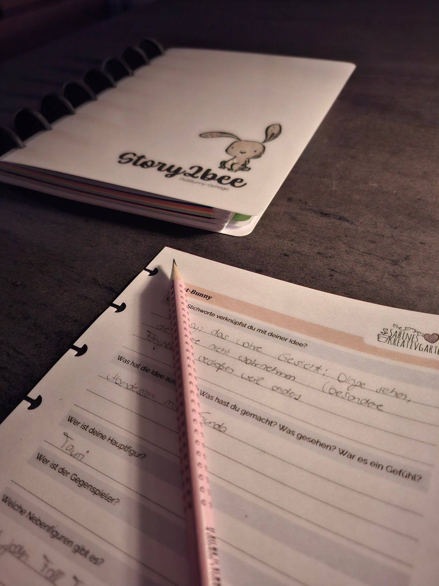 story2bee PlotBunny-Gehege - Ein Zuhause für deine Ideen (Notizbuch / Journal für Buch- oder Roman-Ideen)