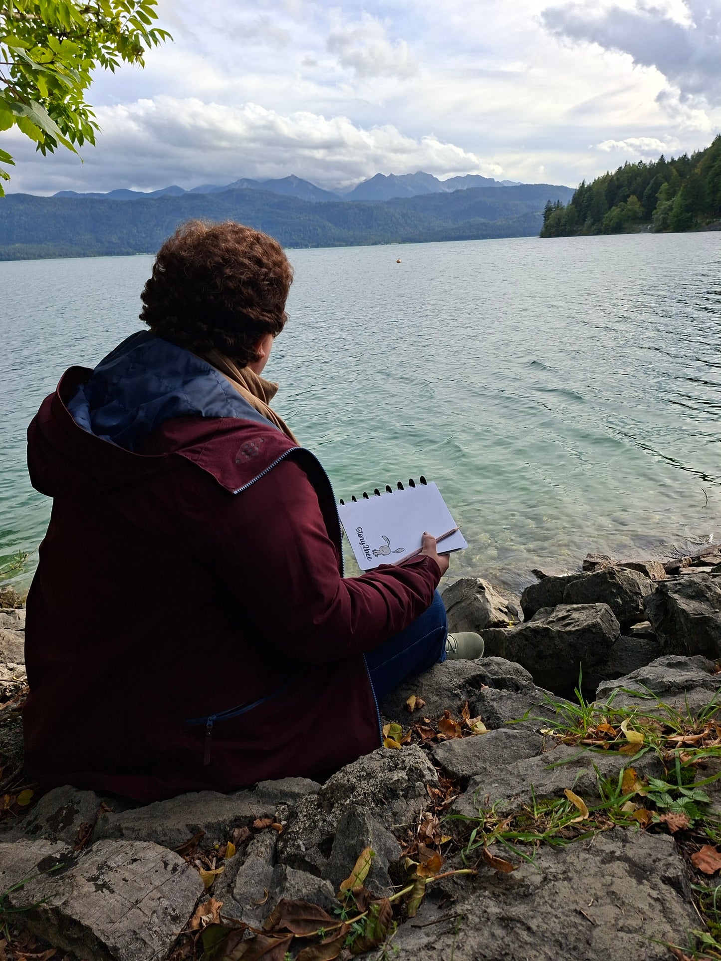 story2bee PlotBunny-Gehege - Ein Zuhause für deine Ideen (Notizbuch / Journal für Buch- oder Roman-Ideen)